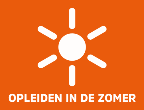 Opleiden in de zomer